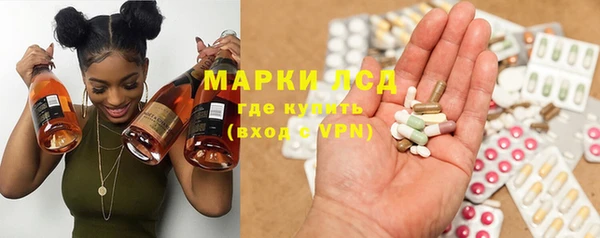 PSILOCYBIN Аркадак