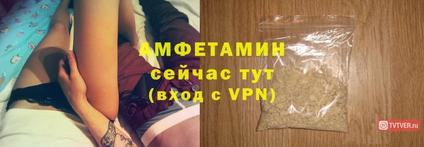 PSILOCYBIN Аркадак