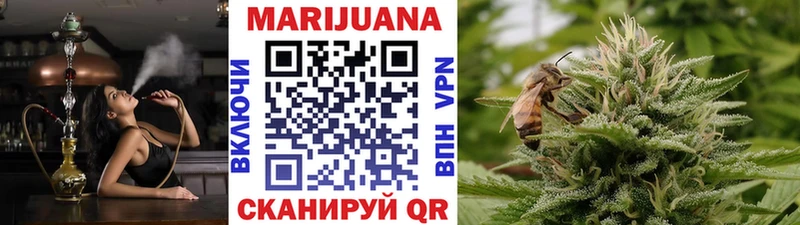 Конопля марихуана  Белая Холуница 